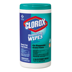 Disinfecting Wipes, Fresh Scent, 75 Count