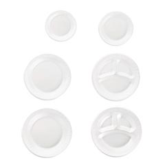 Concorde&reg; Non-Laminated Foam Dinnerware Plates
