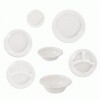 Impact Plastic Dinnerware
