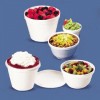 Foam Containers