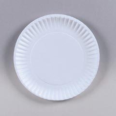 Picnic Paper Plate
