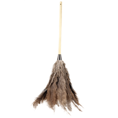 Economy Ostrich Feather Duster