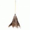Economy Ostrich Feather Duster