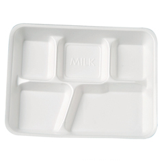 Five-Compartment Foam School Food Tray